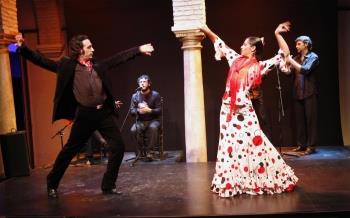 Reservas para el Museo del Baile Flamenco